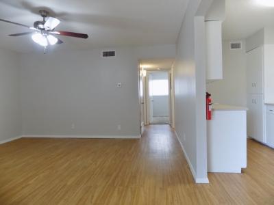 2828 San Antonio, Apt 15