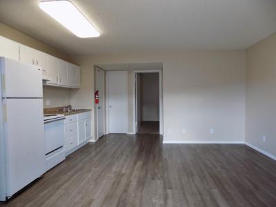 316 Millspaugh St, Apt 31