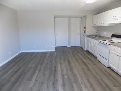 316 Millspaugh, Apt. 32