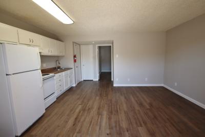 316 Millspaugh St., Apt. 33