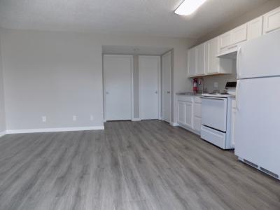316 Millspaugh St, Apt 36
