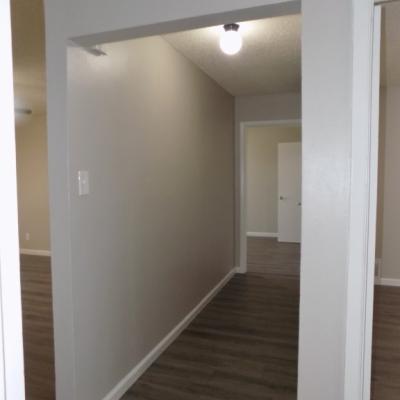 2828 San Antonio St., Apt 17 (18)