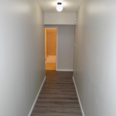 2828 San Antonio St., Apt 17 (23)