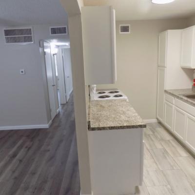 2828 Rio Grande, Apt. 11 (10)