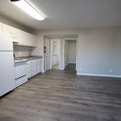 316 Millspaugh St, Apt 37 (15)
