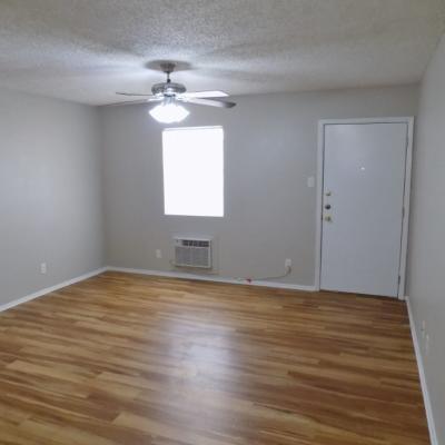 501 N. Bell St, Apt 02 (3)