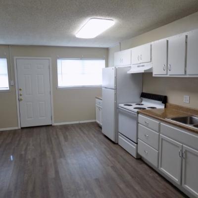 316 Millspaugh St, Apt 31 (5)