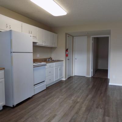 316 Millspaugh St, Apt 31 (2)