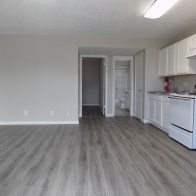 316 Millspaugh St, Apt 36 (3)