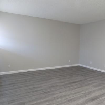 316 Millspaugh St., Apt 48 (3)